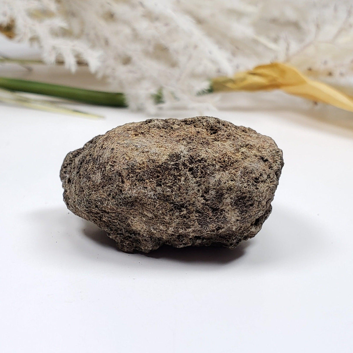  Olivine Volcanic Bomb | Lava Coated Crystal | 39.5 gr | Mortlake, Victoria, Australia SO24 5