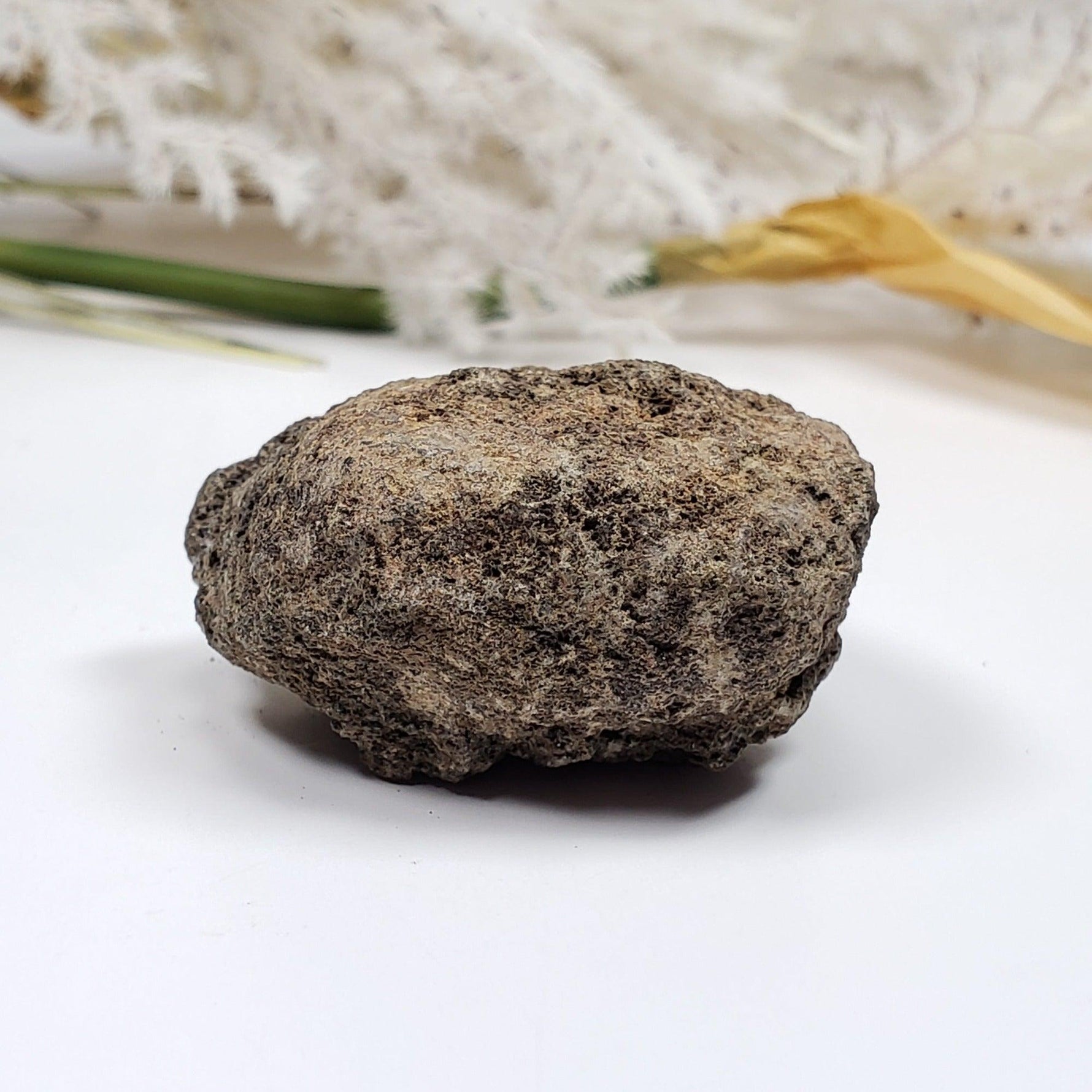  Olivine Volcanic Bomb | Lava Coated Crystal | 39.5 gr | Mortlake, Victoria, Australia SO24 5