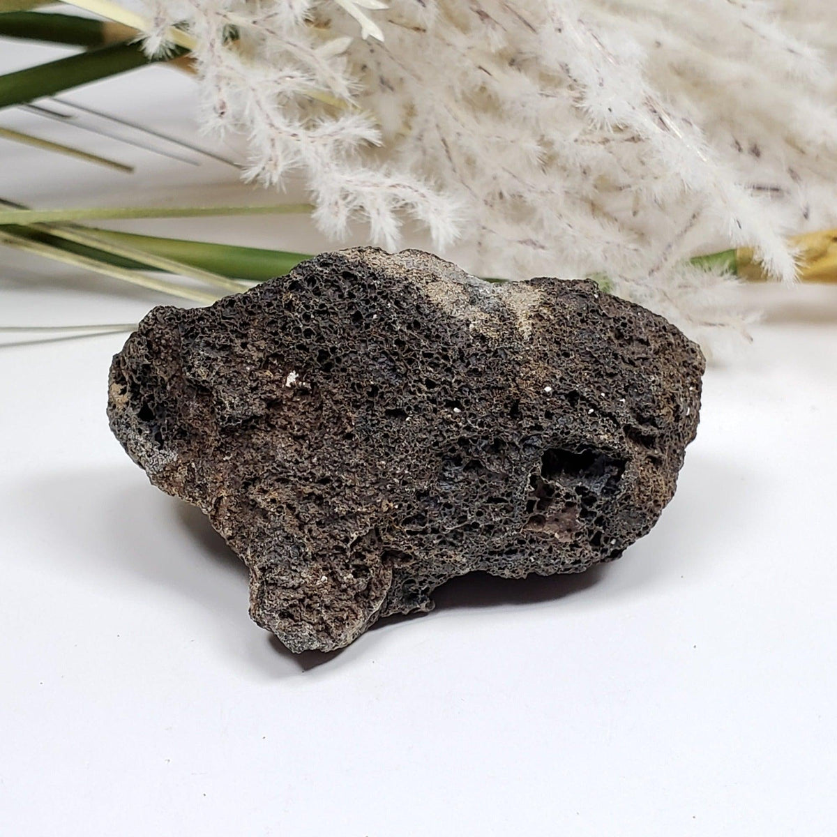  Olivine Volcanic Bomb | Lava Coated Crystal | 53 gr | Mortlake, Victoria, Australia SO24 8