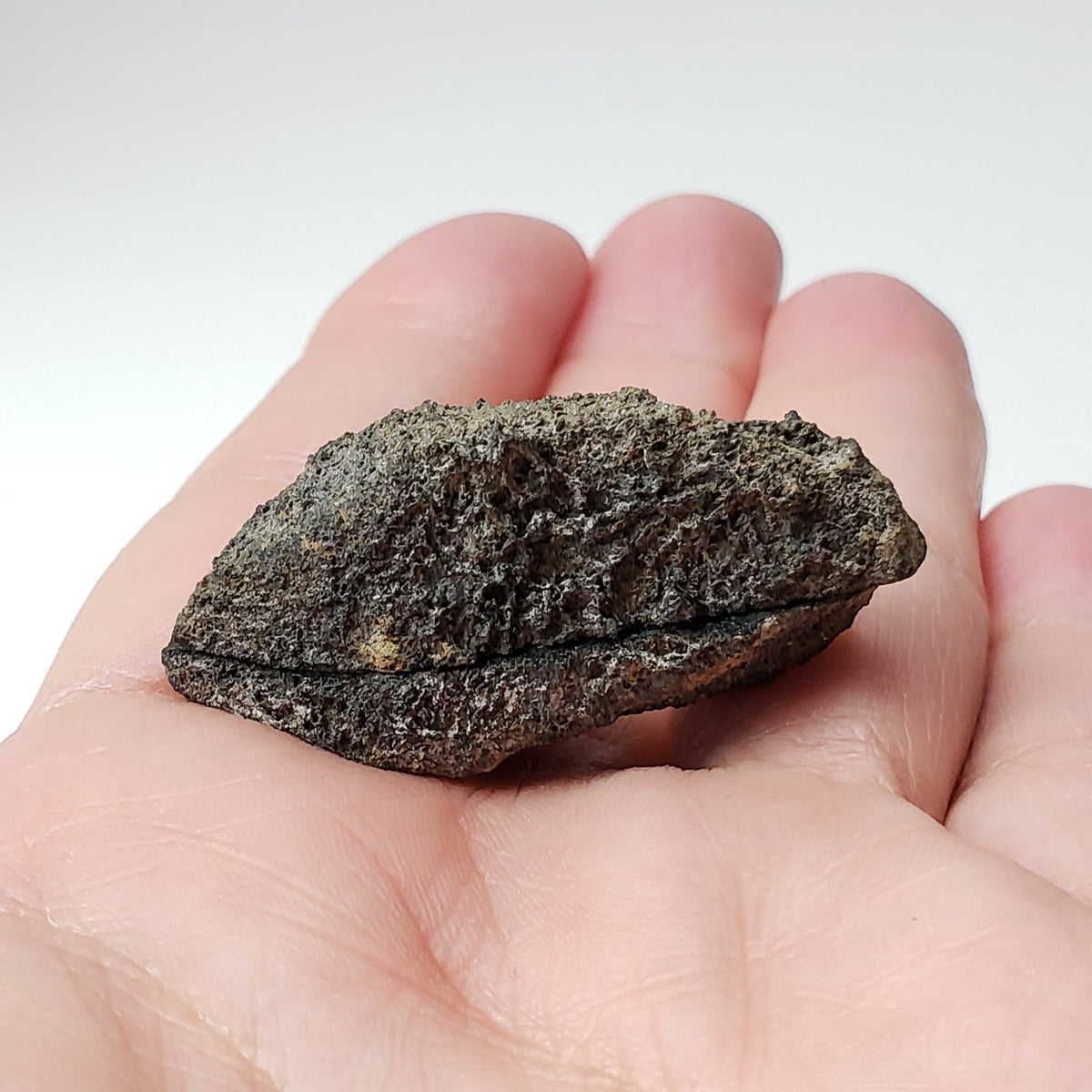  Olivine Volcanic Bomb Matching Halves | Lava Coated Crystal | 21.7 gr, | Mortlake, Victoria, Australia | SO24 1