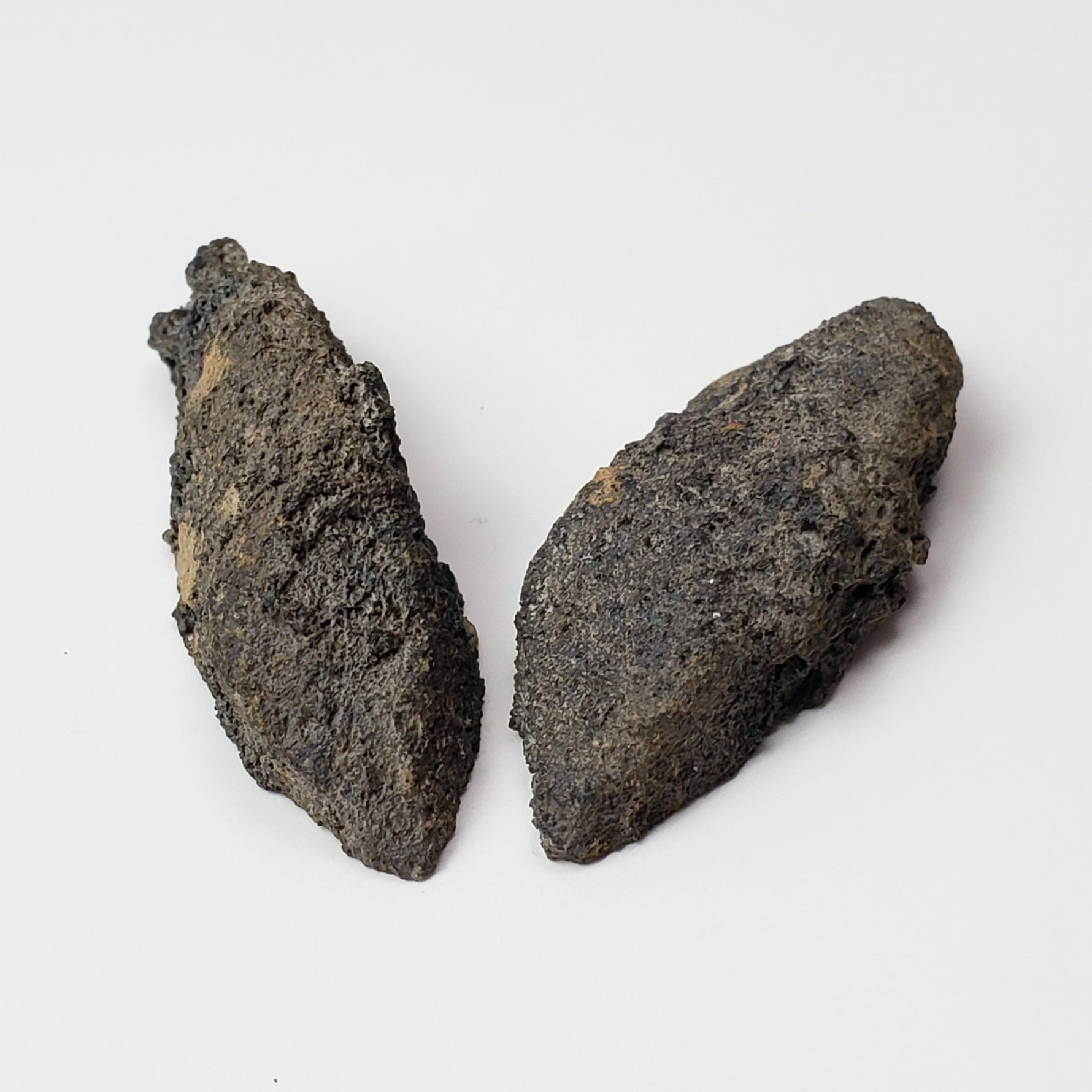  Olivine Volcanic Bomb Matching Halves | Lava Coated Crystal | 21.7 gr, | Mortlake, Victoria, Australia | SO24 2
