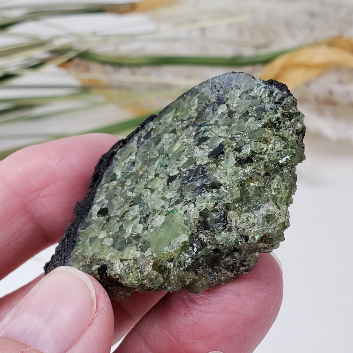  Olivine Volcanic Bomb Slice | Lava Coated Crystal | 42.4 gr | Mortlake, Victoria, Australia | SO24 1