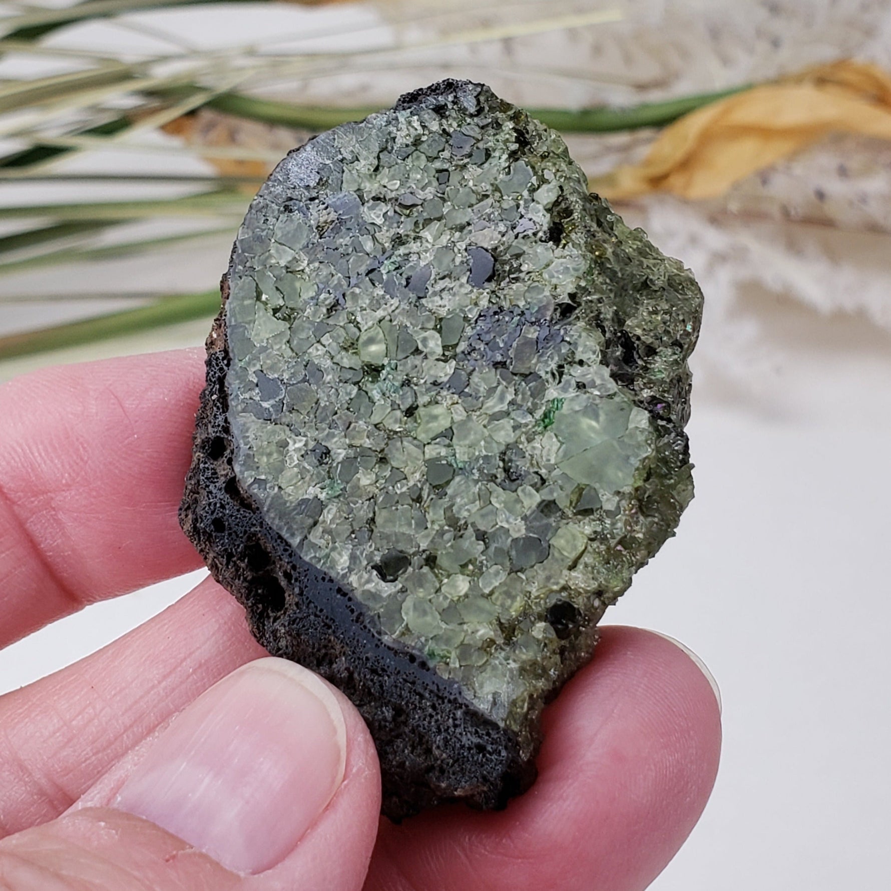  Olivine Volcanic Bomb Slice | Lava Coated Crystal | 42.4 gr | Mortlake, Victoria, Australia | SO24 2