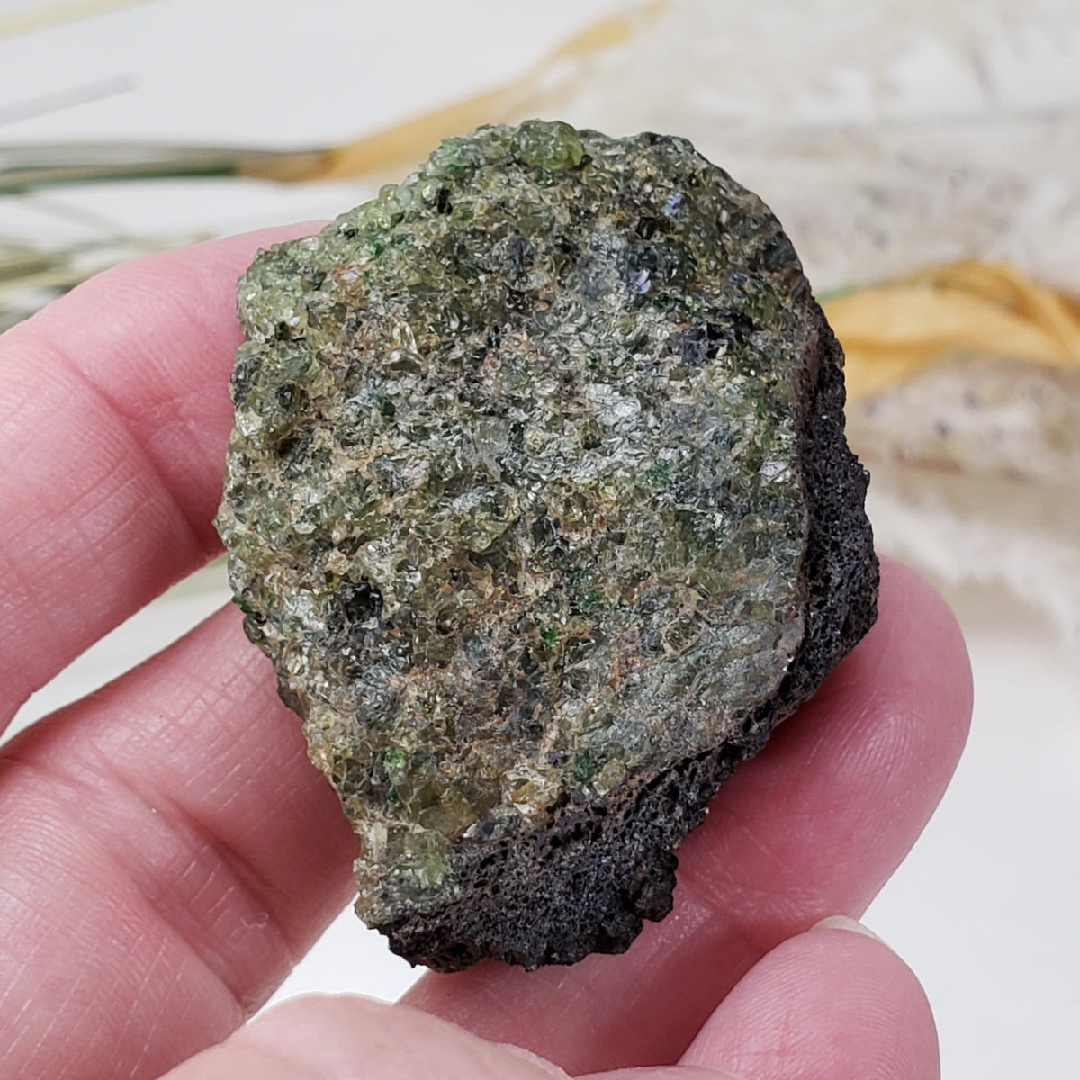  Olivine Volcanic Bomb Slice | Lava Coated Crystal | 42.4 gr | Mortlake, Victoria, Australia | SO24 3