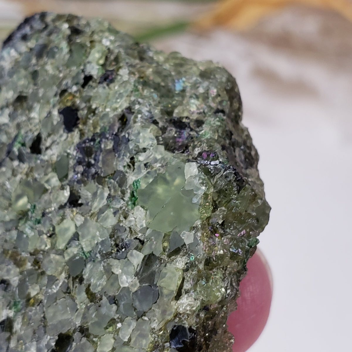  Olivine Volcanic Bomb Slice | Lava Coated Crystal | 42.4 gr | Mortlake, Victoria, Australia | SO24 4