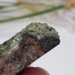  Olivine Volcanic Bomb Slice | Lava Coated Crystal | 42.4 gr | Mortlake, Victoria, Australia | SO24 5