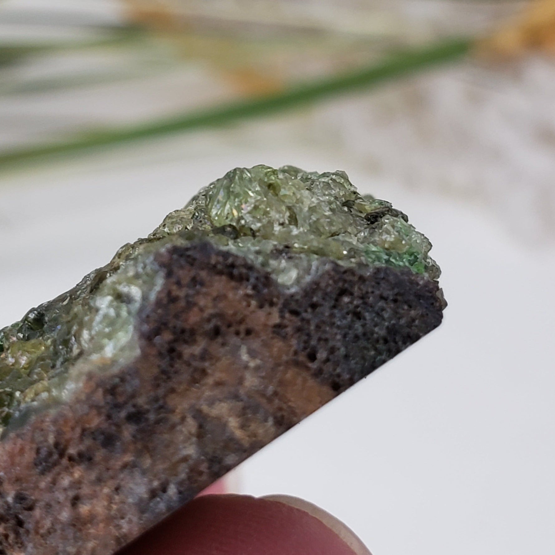  Olivine Volcanic Bomb Slice | Lava Coated Crystal | 42.4 gr | Mortlake, Victoria, Australia | SO24 5