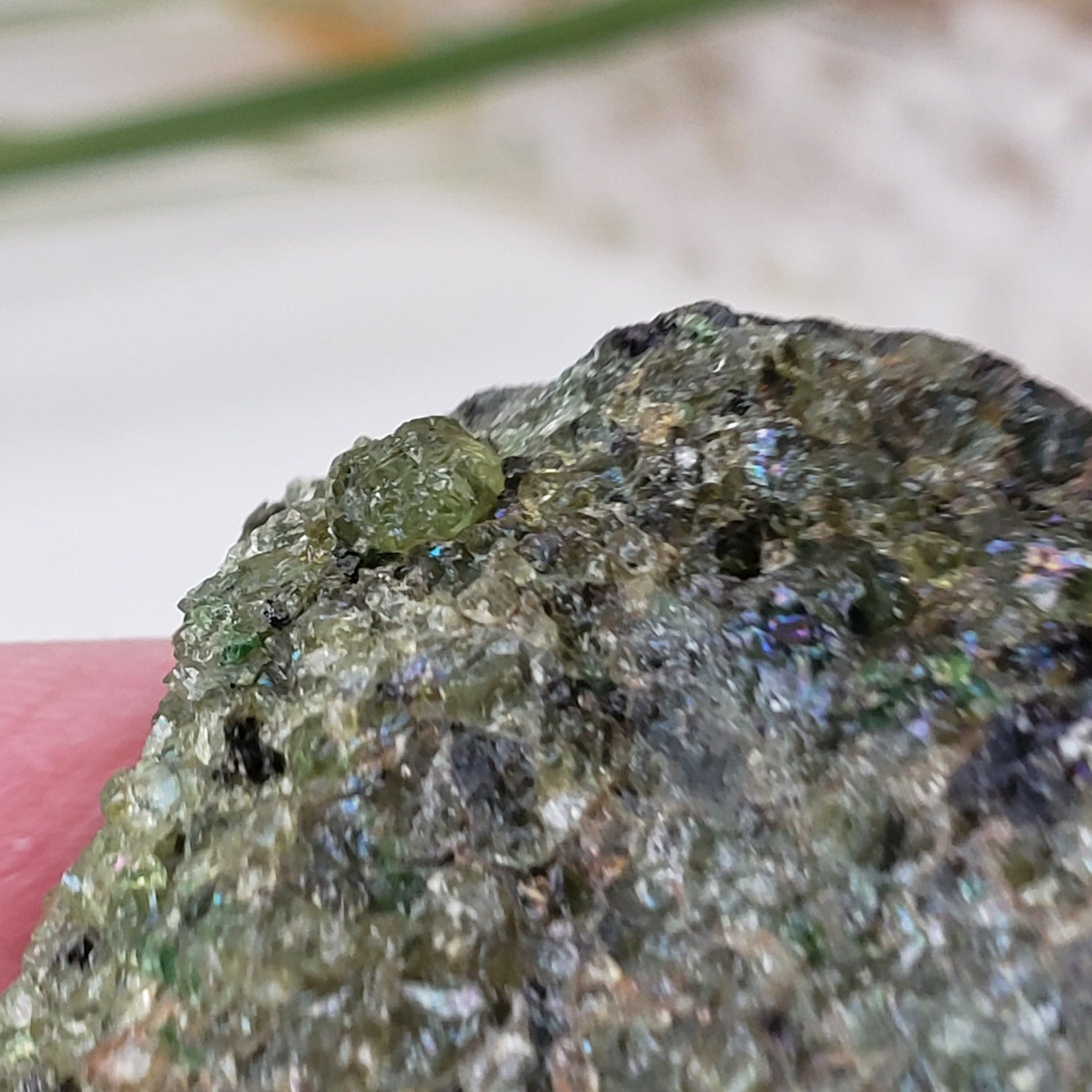  Olivine Volcanic Bomb Slice | Lava Coated Crystal | 42.4 gr | Mortlake, Victoria, Australia | SO24 6