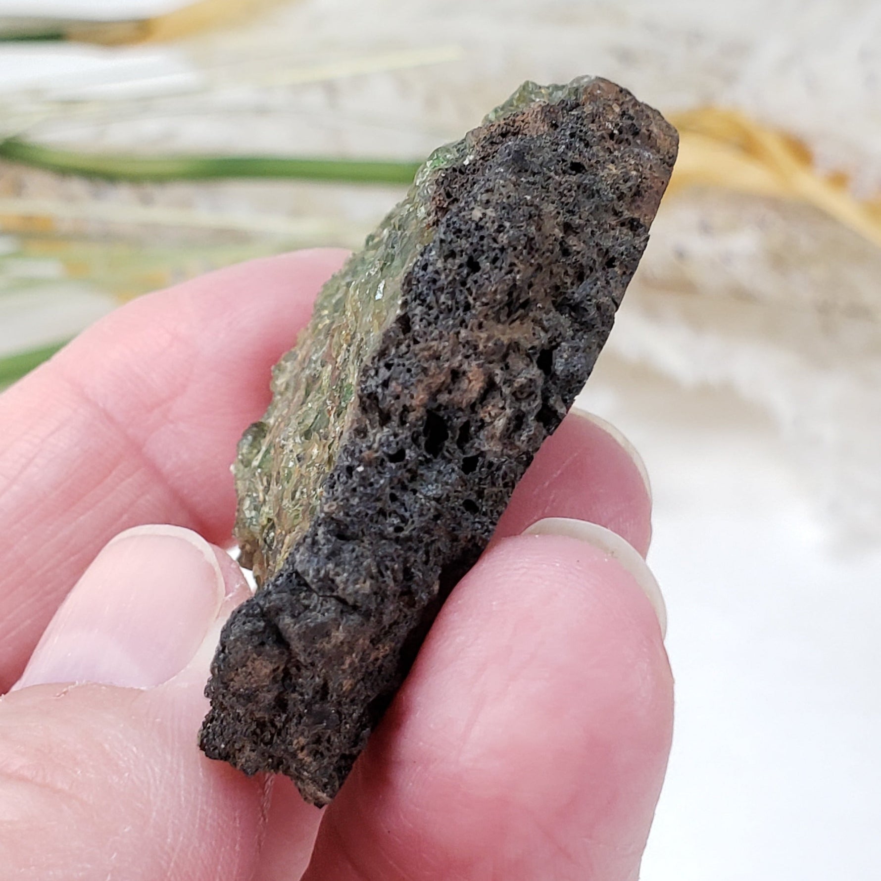  Olivine Volcanic Bomb Slice | Lava Coated Crystal | 42.4 gr | Mortlake, Victoria, Australia | SO24 8