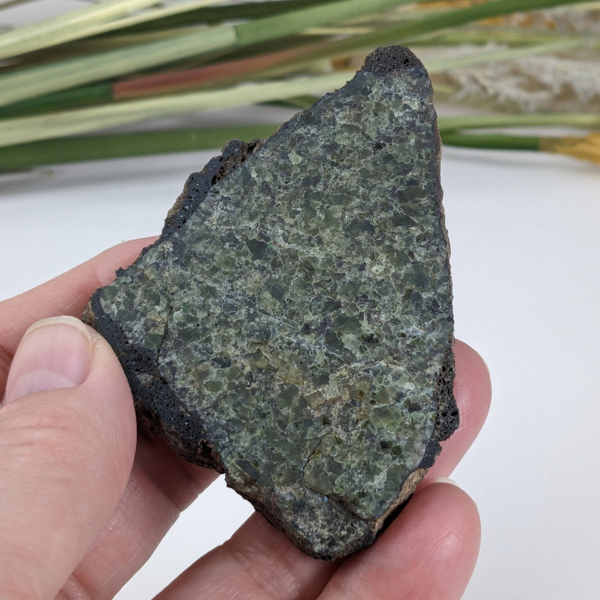  Olivine Volcanic Bomb Slice | Lava Coated Crystal | 85.6 gr, | Mt Shadwell Volcano, Australia | SO24 1