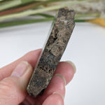  Olivine Volcanic Bomb Slice | Lava Coated Crystal | 85.6 gr, | Mt Shadwell Volcano, Australia | SO24 3