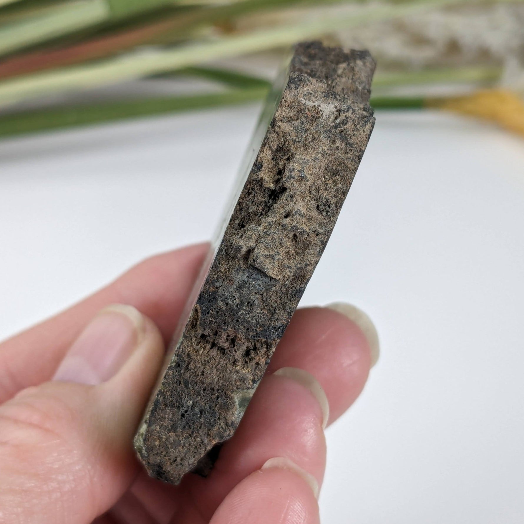  Olivine Volcanic Bomb Slice | Lava Coated Crystal | 85.6 gr, | Mt Shadwell Volcano, Australia | SO24 3