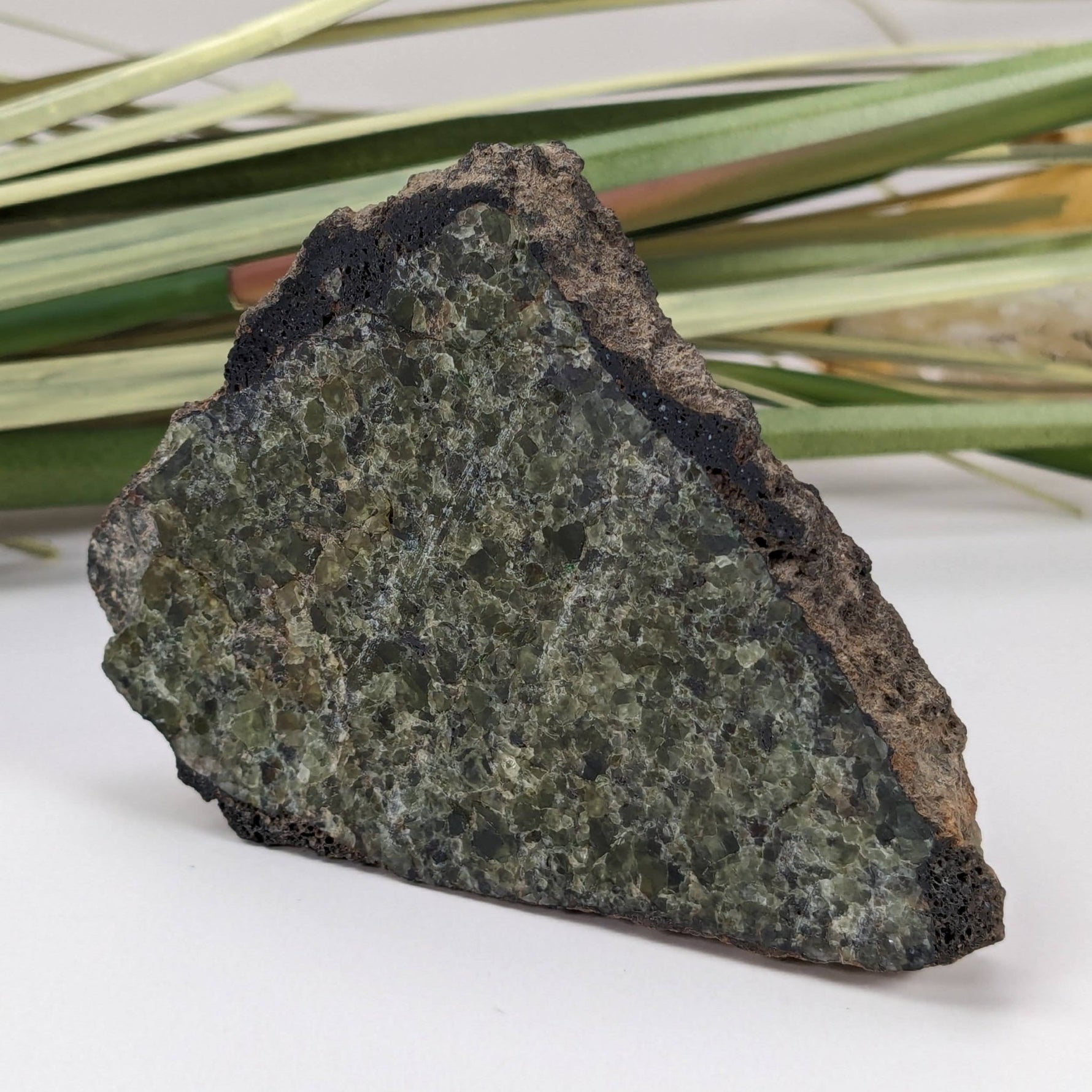  Olivine Volcanic Bomb Slice | Lava Coated Crystal | 85.6 gr, | Mt Shadwell Volcano, Australia | SO24 6
