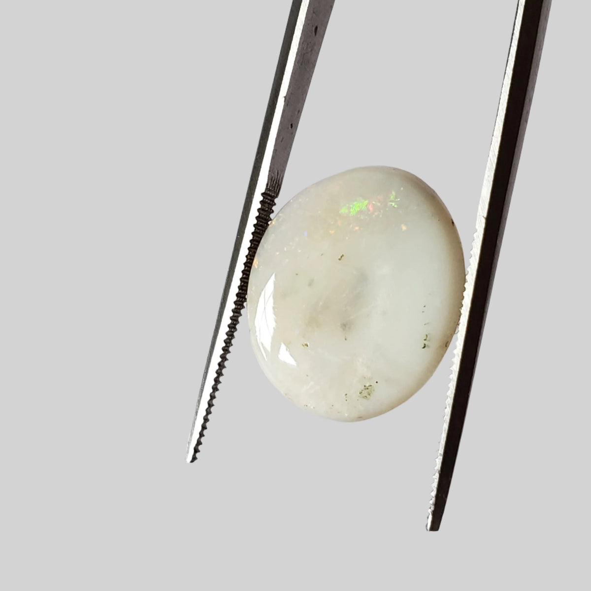  Opal | Oval Cabochon | Rainbow | 17.5x14mm 7.9ct | SO24 