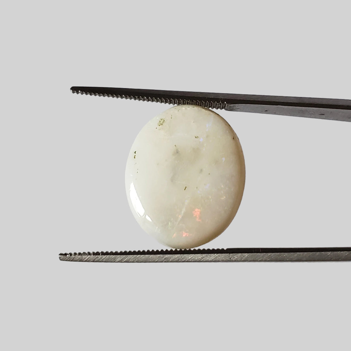  Opal | Oval Cabochon | Rainbow | 17.5x14mm 7.9ct | SO24 1