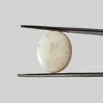  Opal | Oval Cabochon | Rainbow | 17.5x14mm 7.9ct | SO24 1