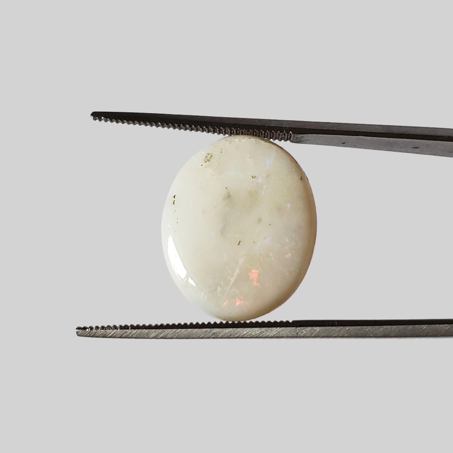  Opal | Oval Cabochon | Rainbow | 17.5x14mm 7.9ct | SO24 1