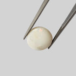  Opal | Oval Cabochon | Rainbow | 17.5x14mm 7.9ct | SO24 4