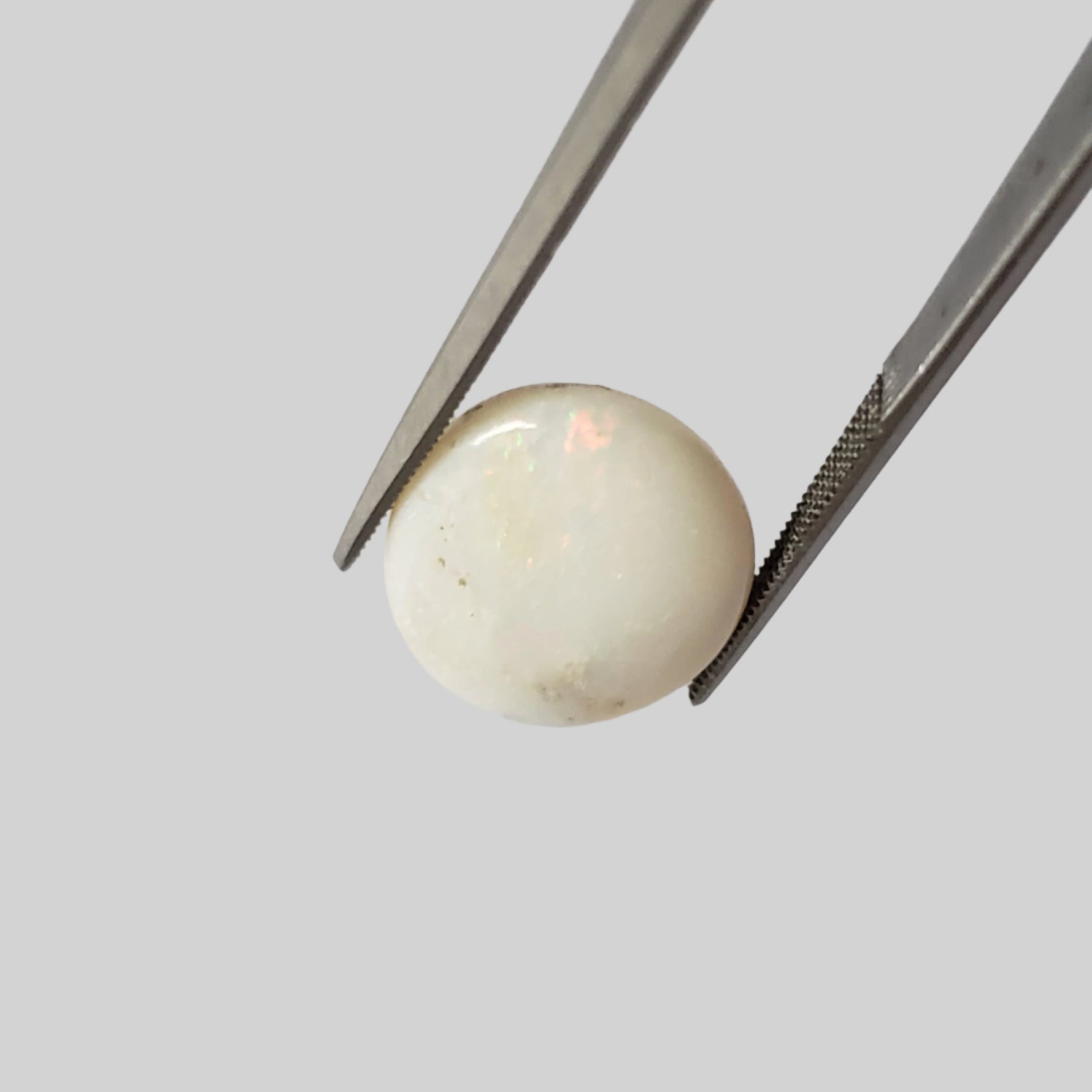  Opal | Oval Cabochon | Rainbow | 17.5x14mm 7.9ct | SO24 4