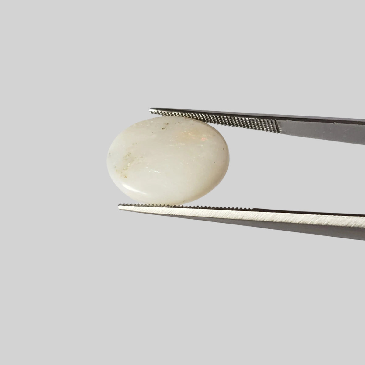  Opal | Oval Cabochon | Rainbow | 17.5x14mm 7.9ct | SO24 5