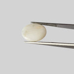  Opal | Oval Cabochon | Rainbow | 17.5x14mm 7.9ct | SO24 5