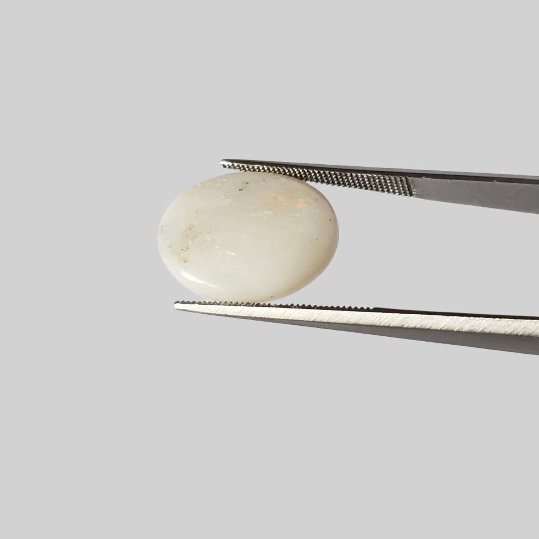  Opal | Oval Cabochon | Rainbow | 17.5x14mm 7.9ct | SO24 5