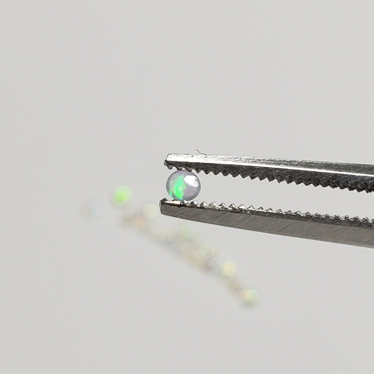  Opal | Round Cabochon | White Rainbow | 2mm | SO24 