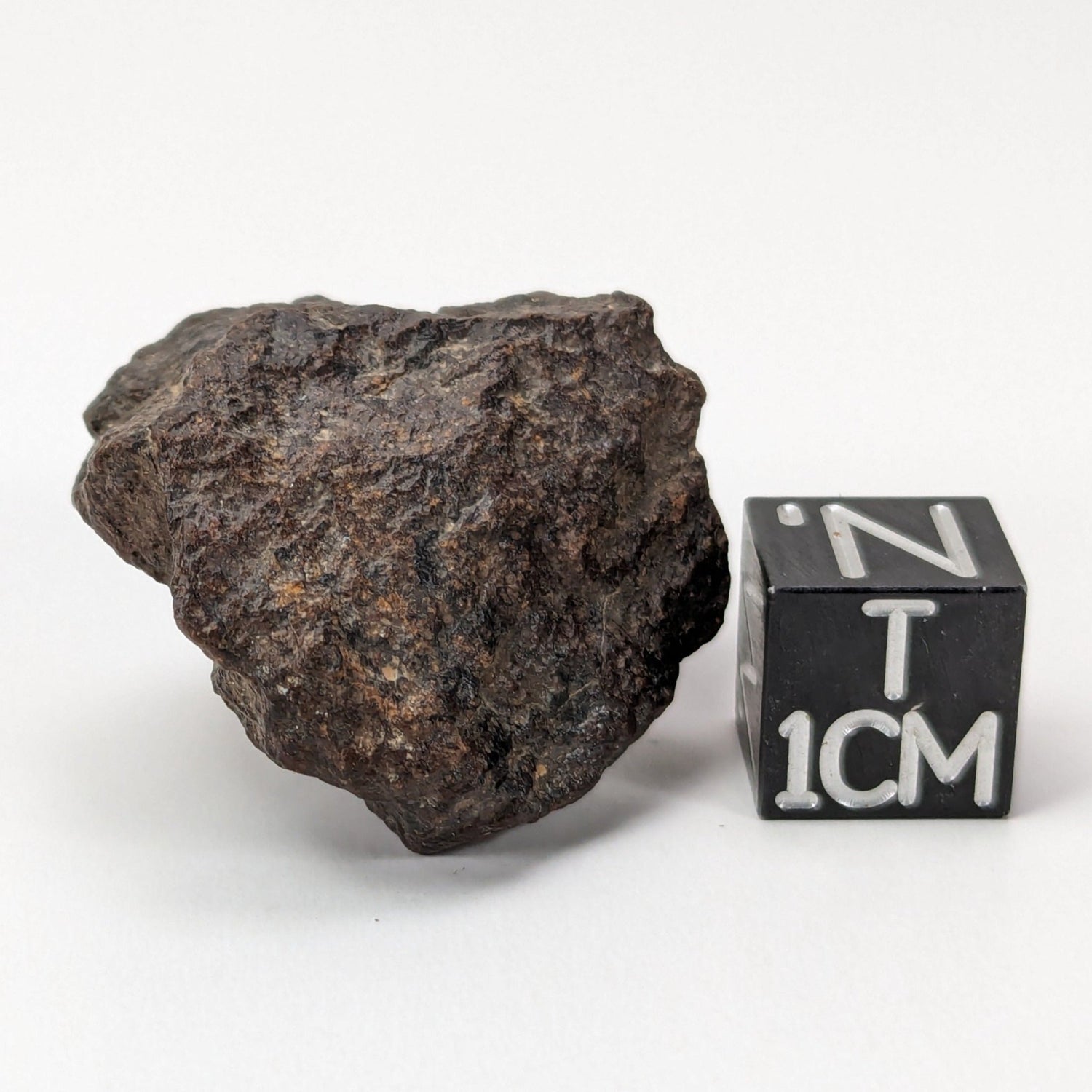 NWA 267 Meteorite | 16.6 Grams | H4 Chondrite | First Used in Legal Tender Coin | Sahara