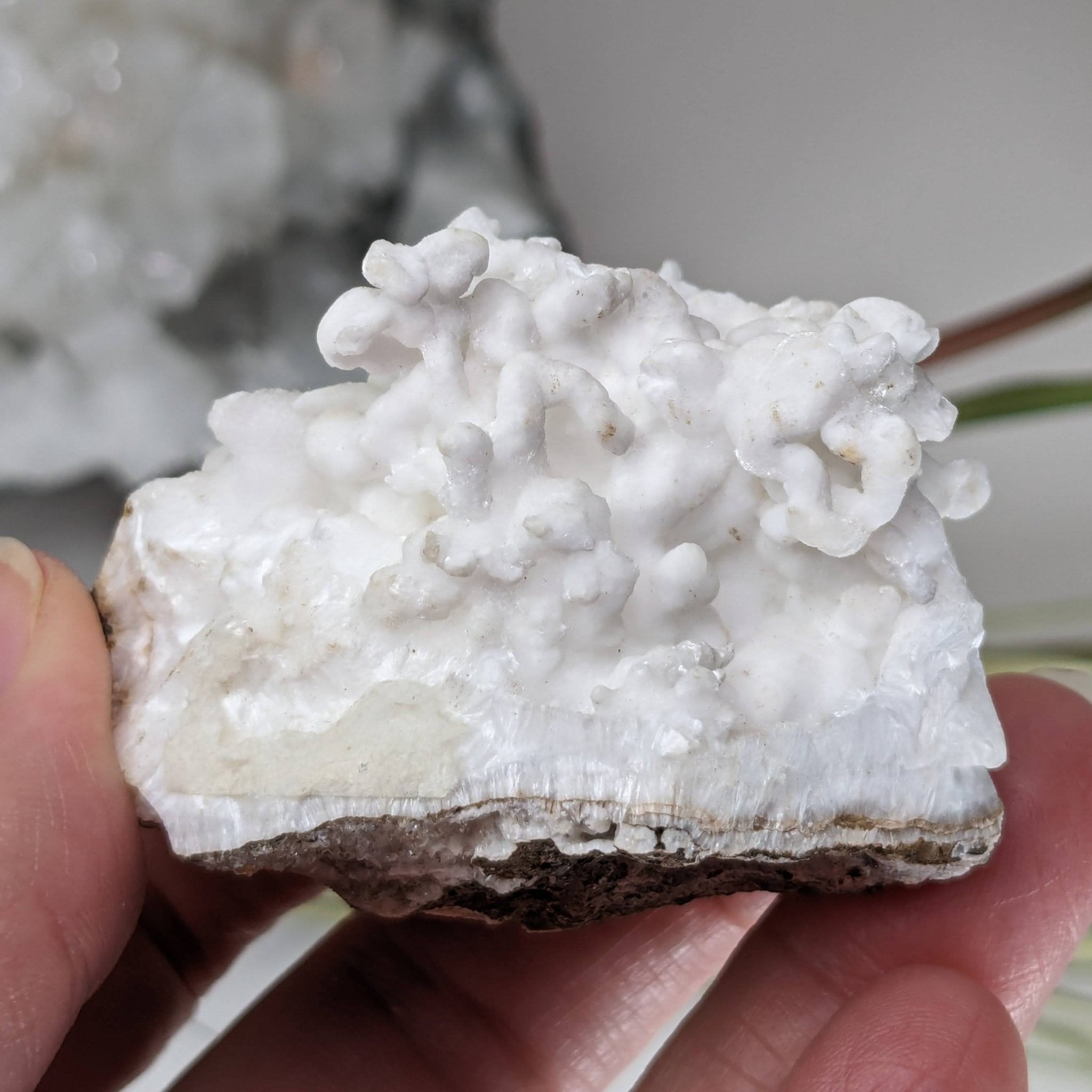 White Aragonite Cluster retailer