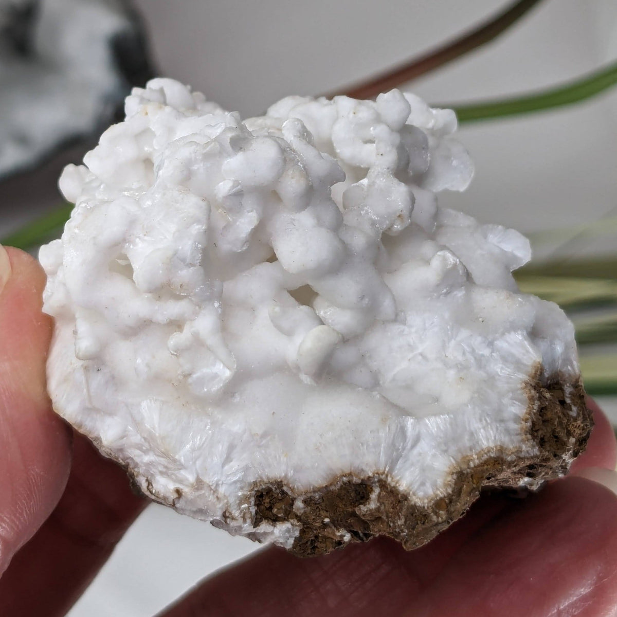 White Aragonite Cluster | Cave Calcite | 111.8 grams | Arizona, USA | Canagem.com