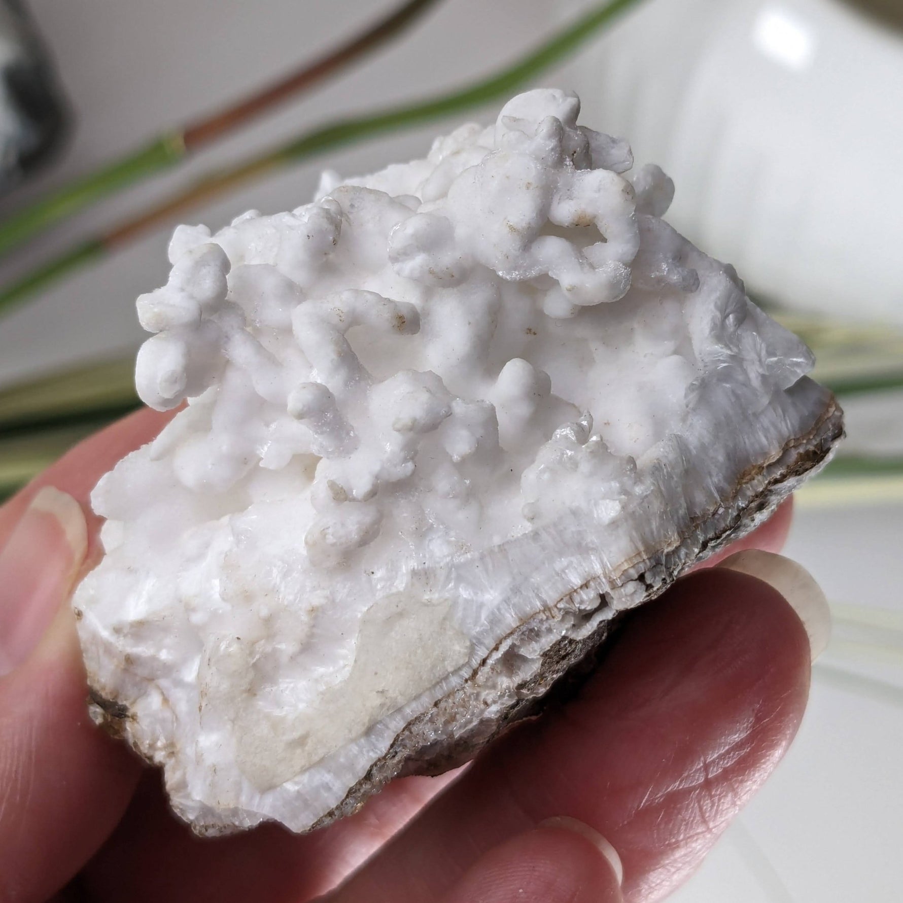 White Aragonite Cluster | Cave Calcite  | 111.8 grams | Arizona, USA