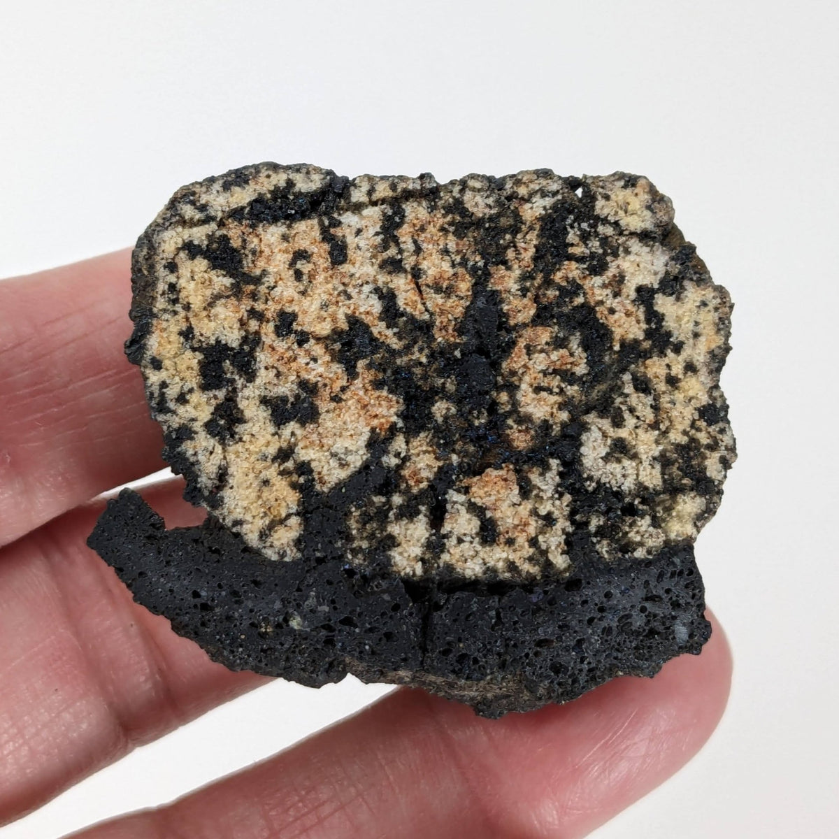 Volcanic Bomb | Lava Coated Crystal | 28.9 gr | Mortlake, Victoria, Australia | Canagem.com