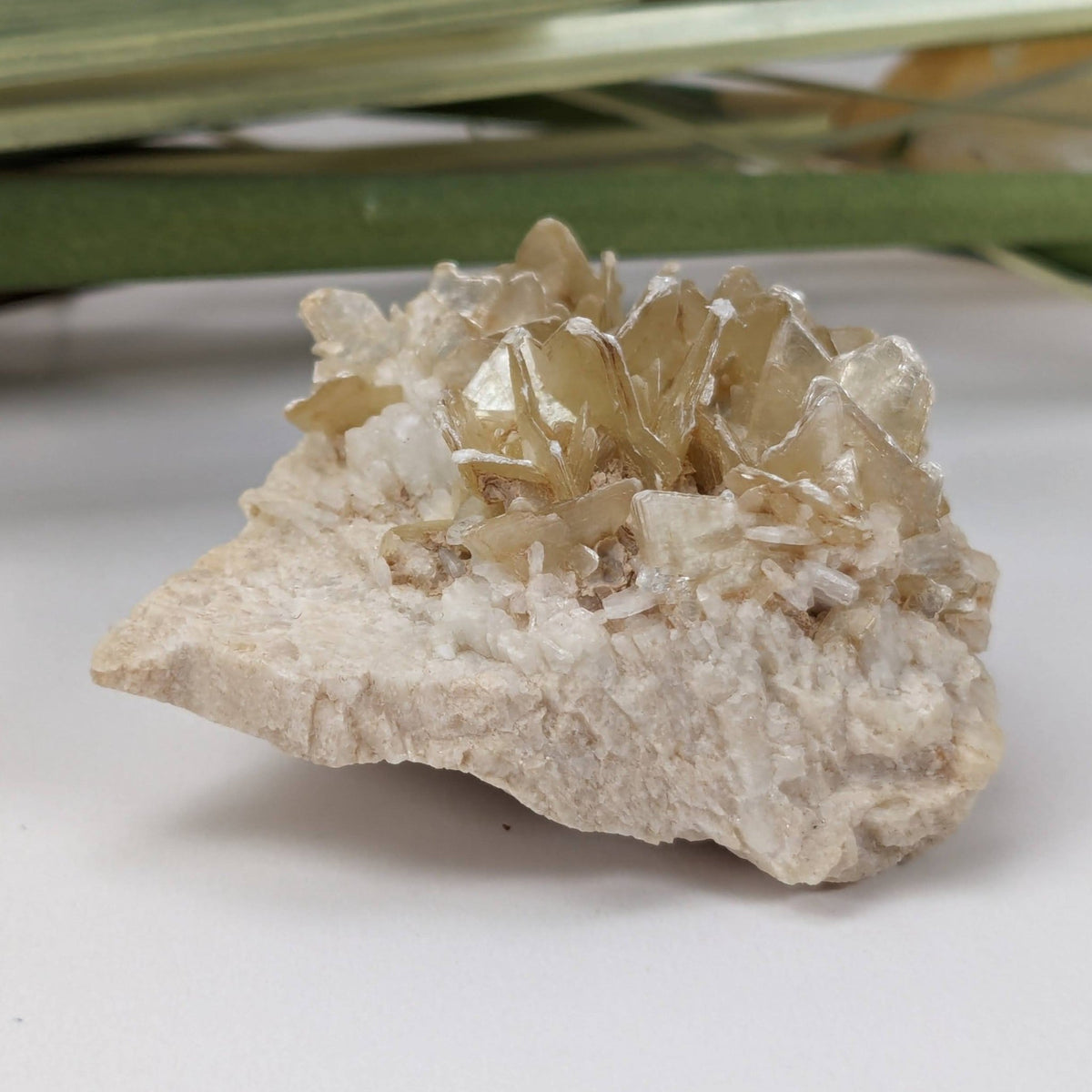  Star Mica Metamorphic Rock with Quartz | 43.2g | Muscovite | Brazil 