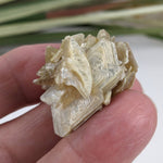  Star Mica Metamorphic Rock | 13.5g | Muscovite | Brazil 