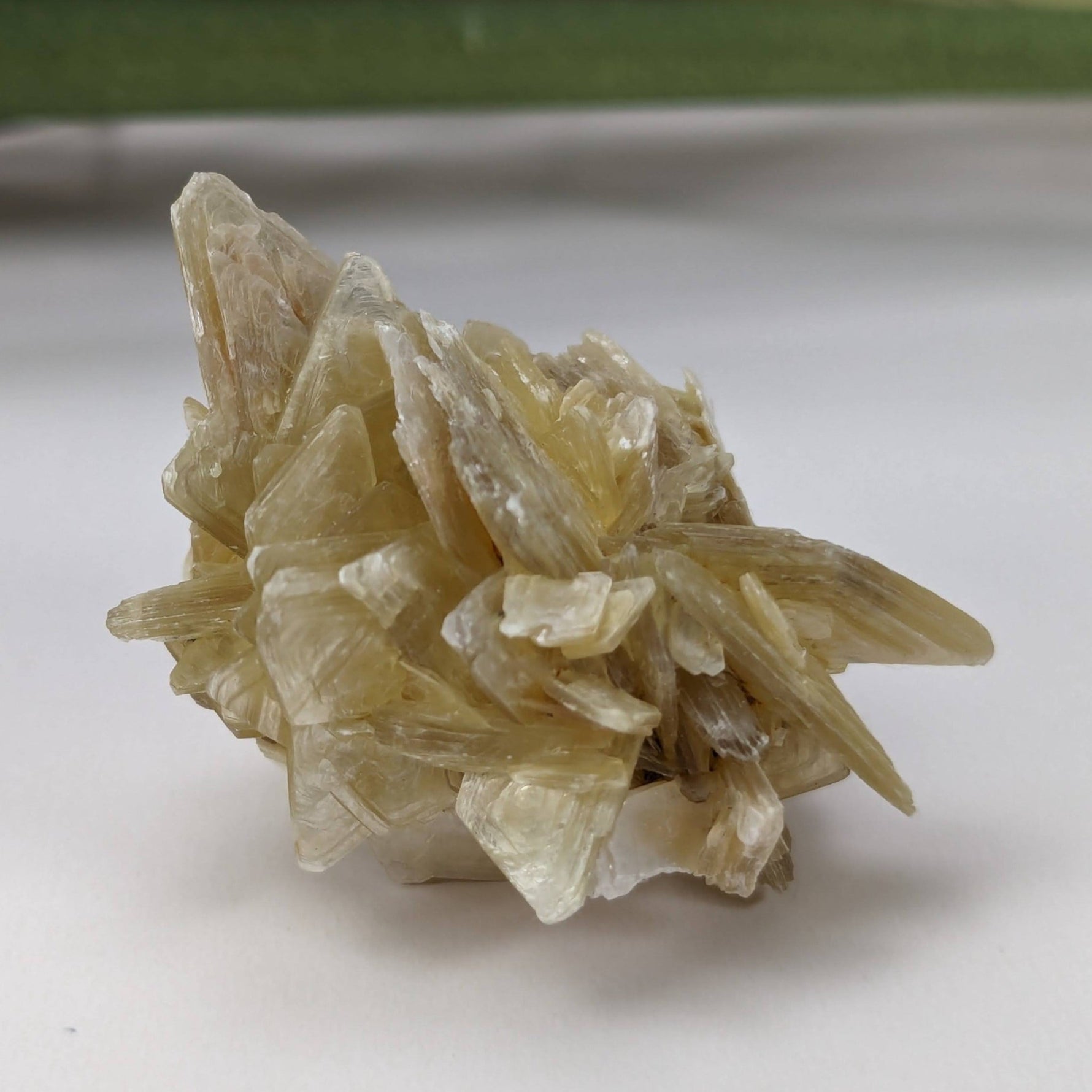  Star Mica Metamorphic Rock | 13.5g | Muscovite | Brazil 