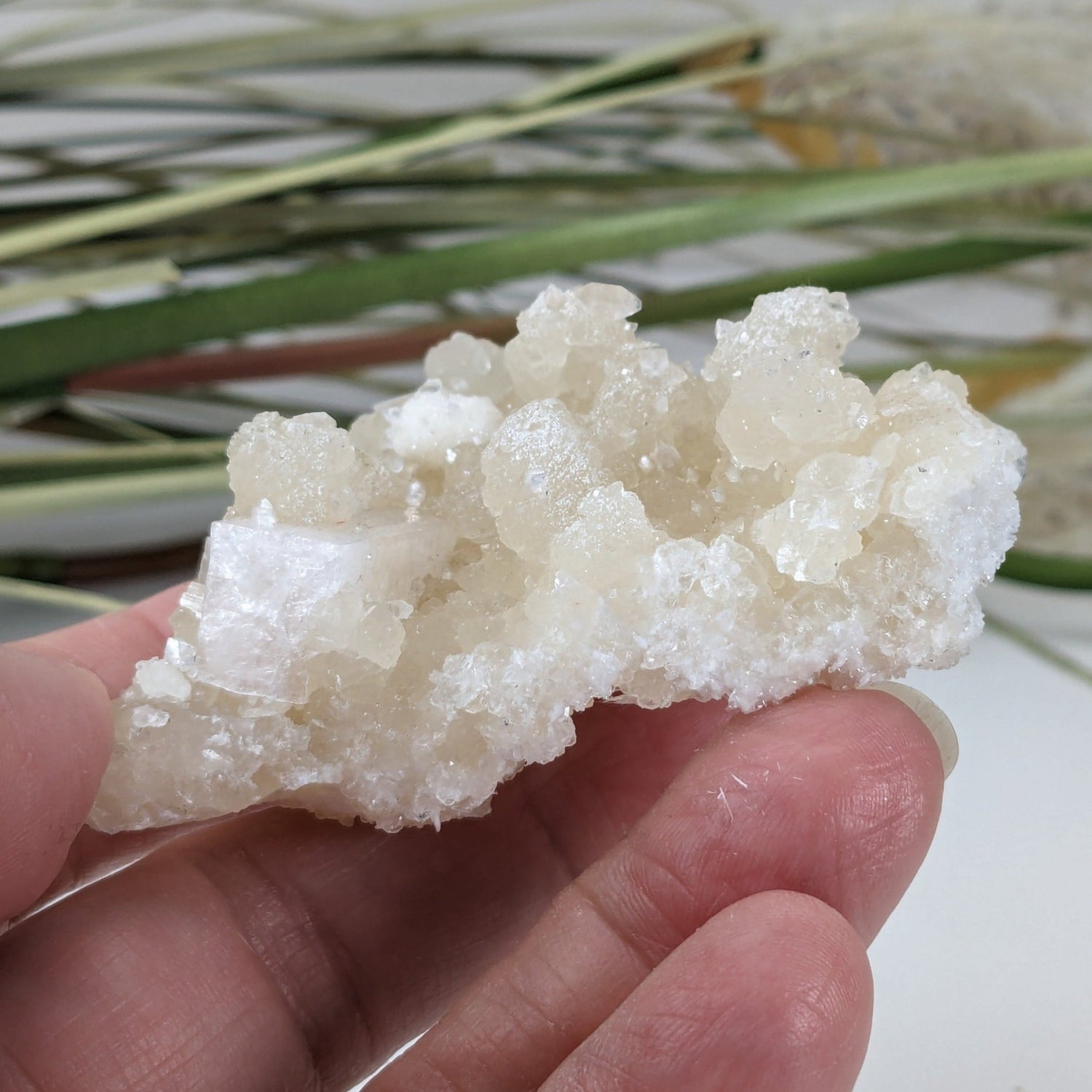 Gyrolite and Apophyllite on Prehnite Crystal | 85 grams | Mumbai, India | Canagem.com
