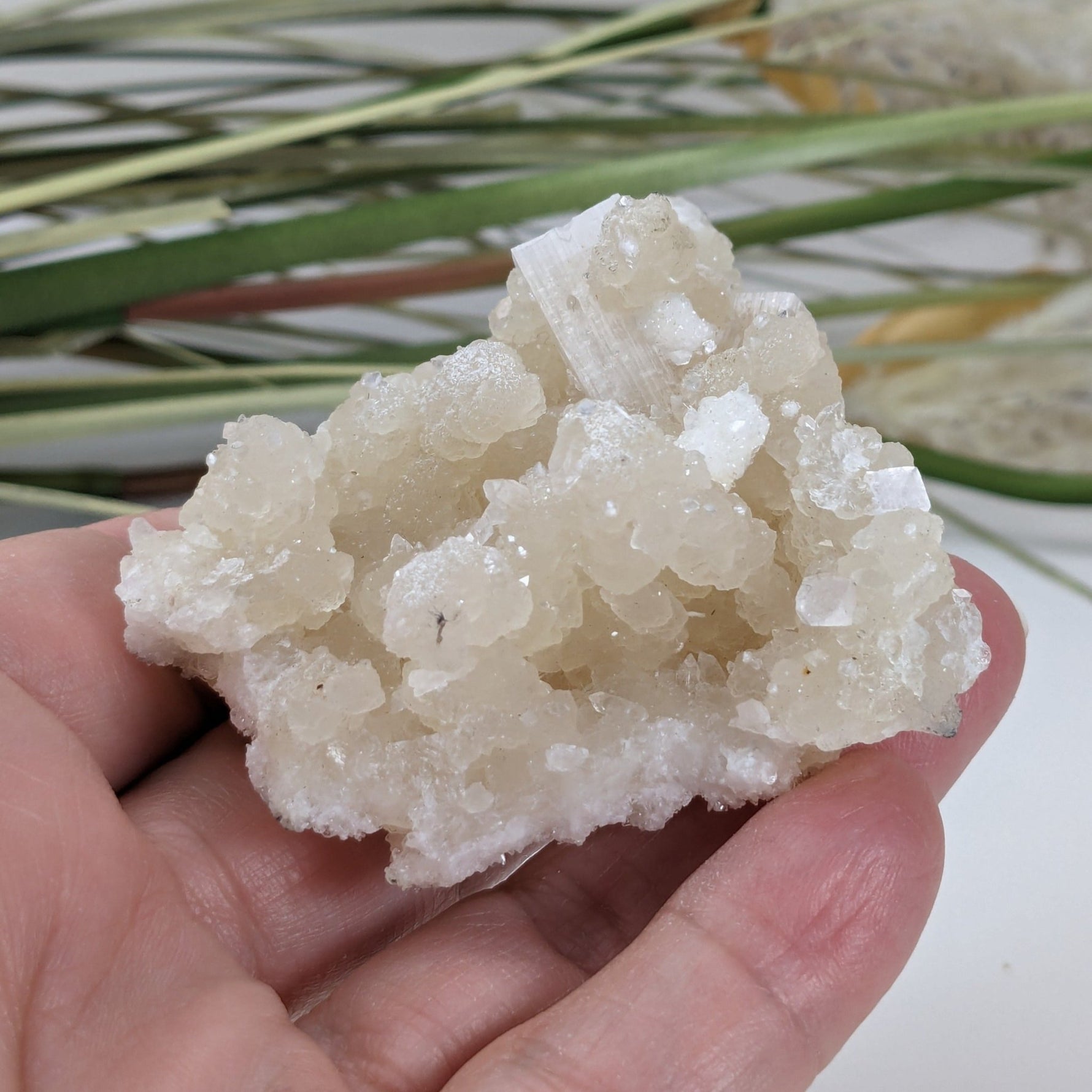 Gyrolite and Apophyllite on Prehnite Crystal | 85 grams | Mumbai, India