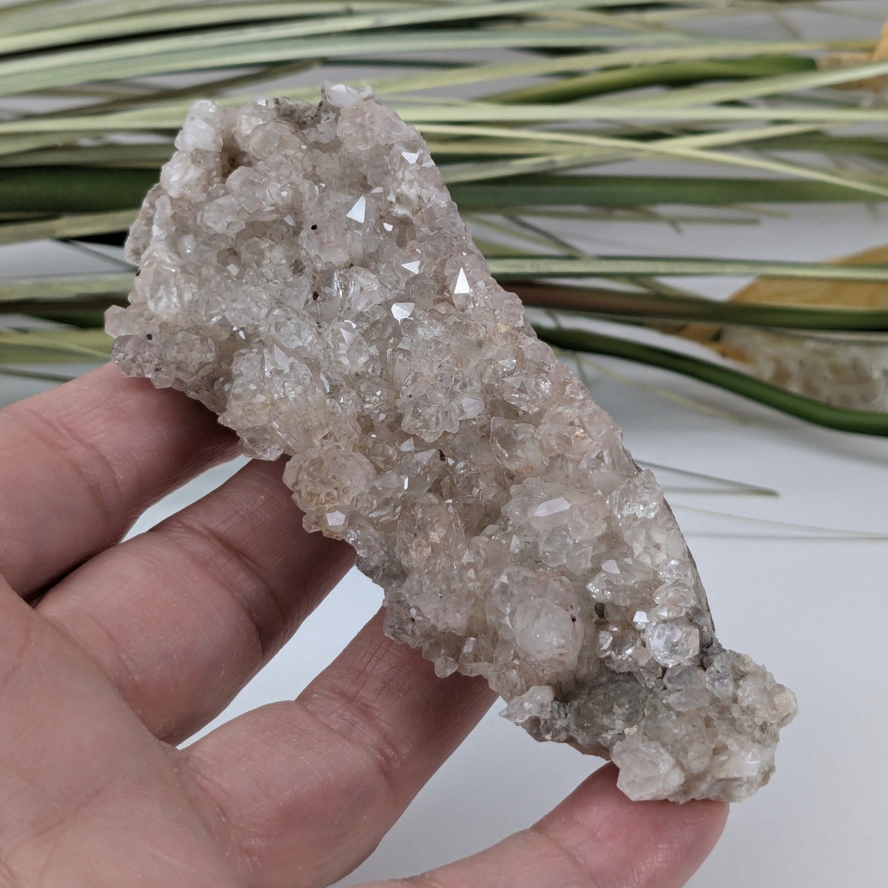Natural Quartz Crystal | 129.4 Grams | Miners Bay, Ontario Canada