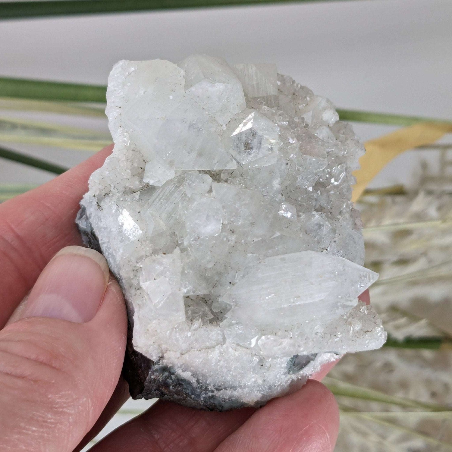Apophyllite Crystal Cluster | 102 grams | Jalgaon, India