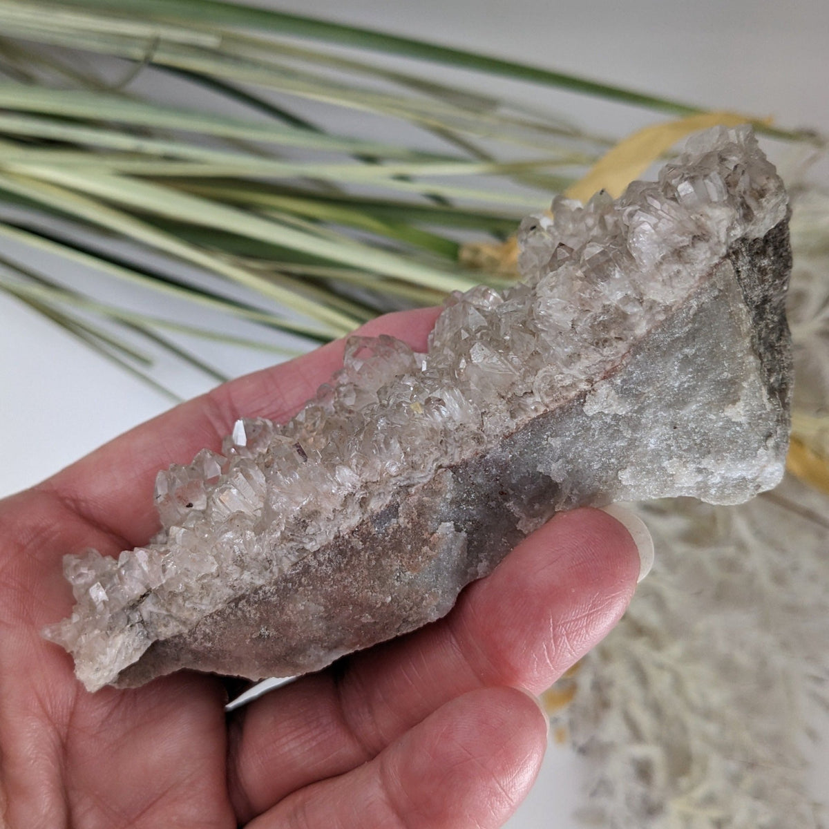 Natural Quartz Crystal | 129.4 Grams | Miners Bay, Ontario Canada