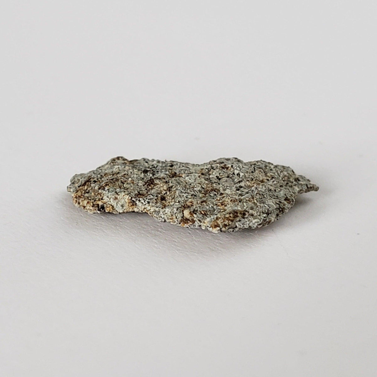  Peace River Meteorite | 0.52 Gr | Individual Fragment | L6 Chondrite | 1963 OBSERVED FALL | Canada | SO24 6