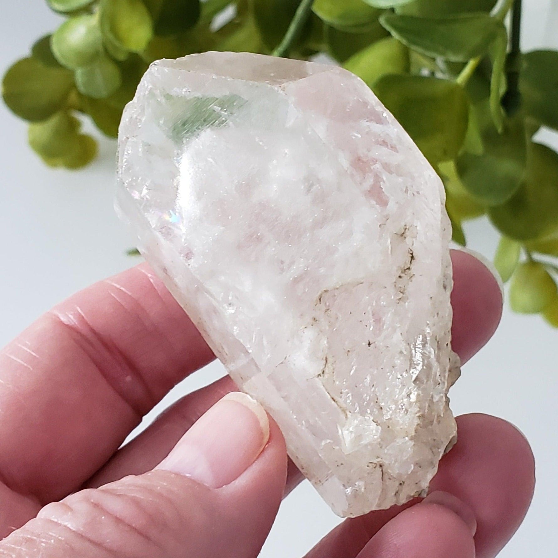  Phantom Quartz | 104 gr | Bihar/Orissa, India 8