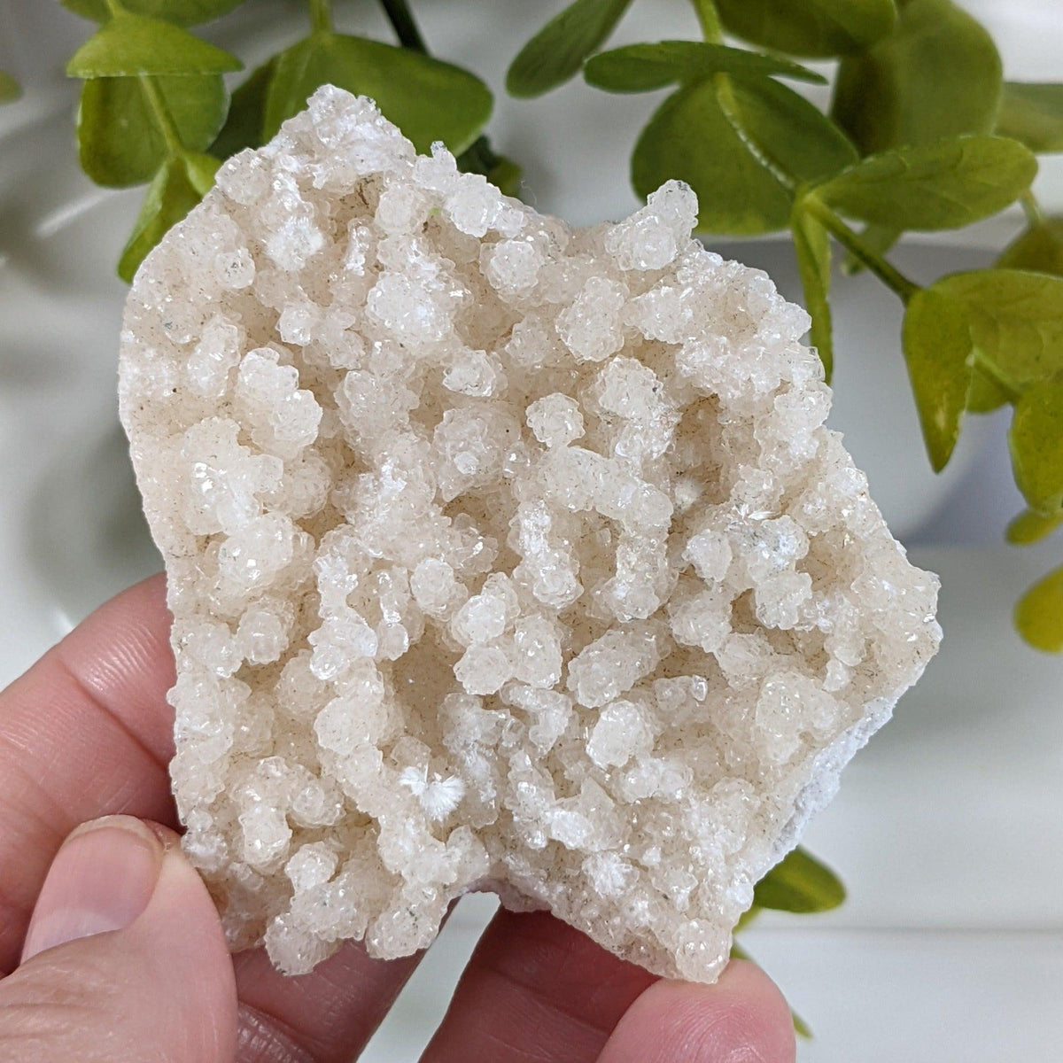  Prehnite Crystal Cluster | 67 grams | Mumbai, India 