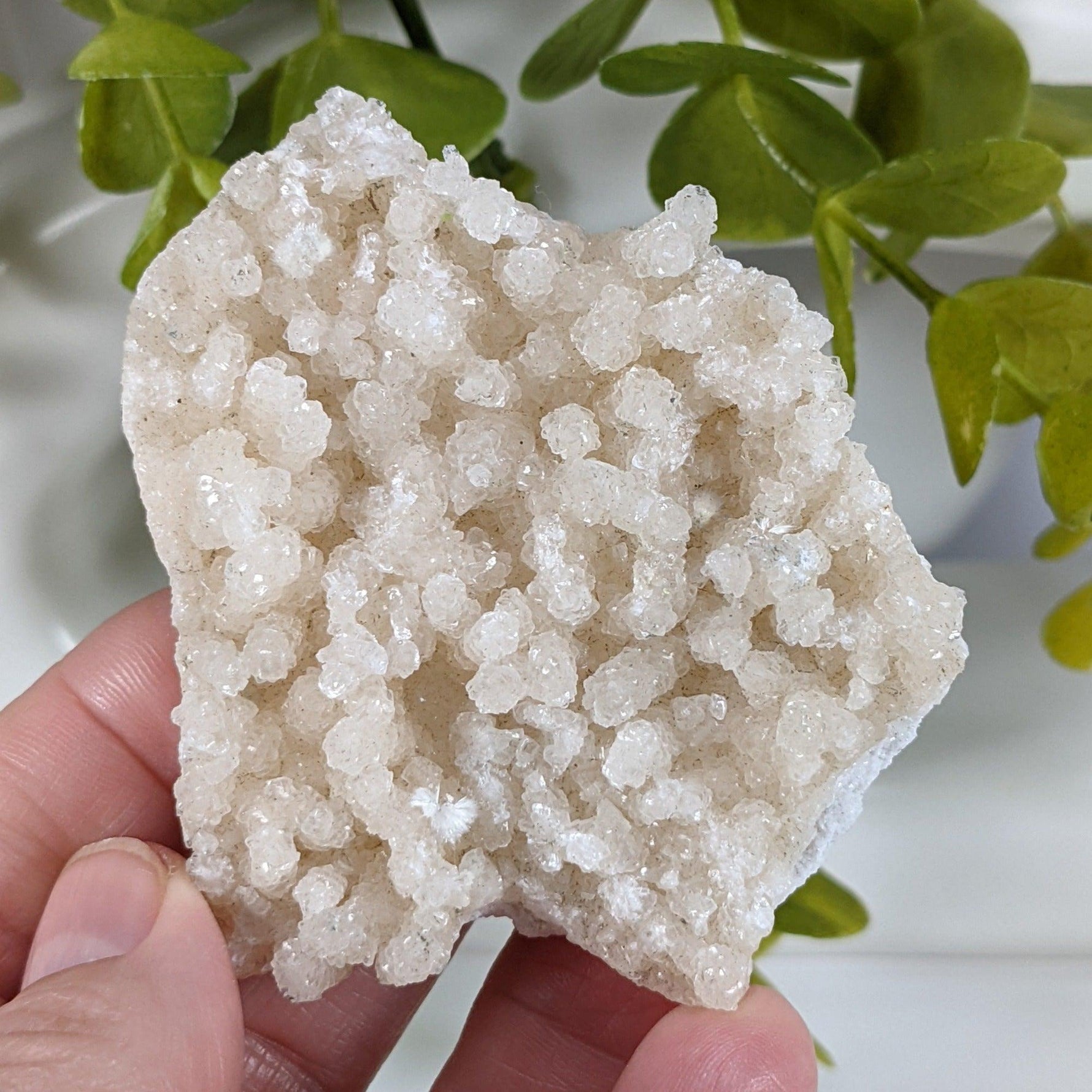  Prehnite Crystal Cluster | 67 grams | Mumbai, India 