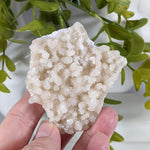  Prehnite Crystal Cluster | 67 grams | Mumbai, India 2