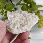  Prehnite Crystal Cluster | 67 grams | Mumbai, India 1