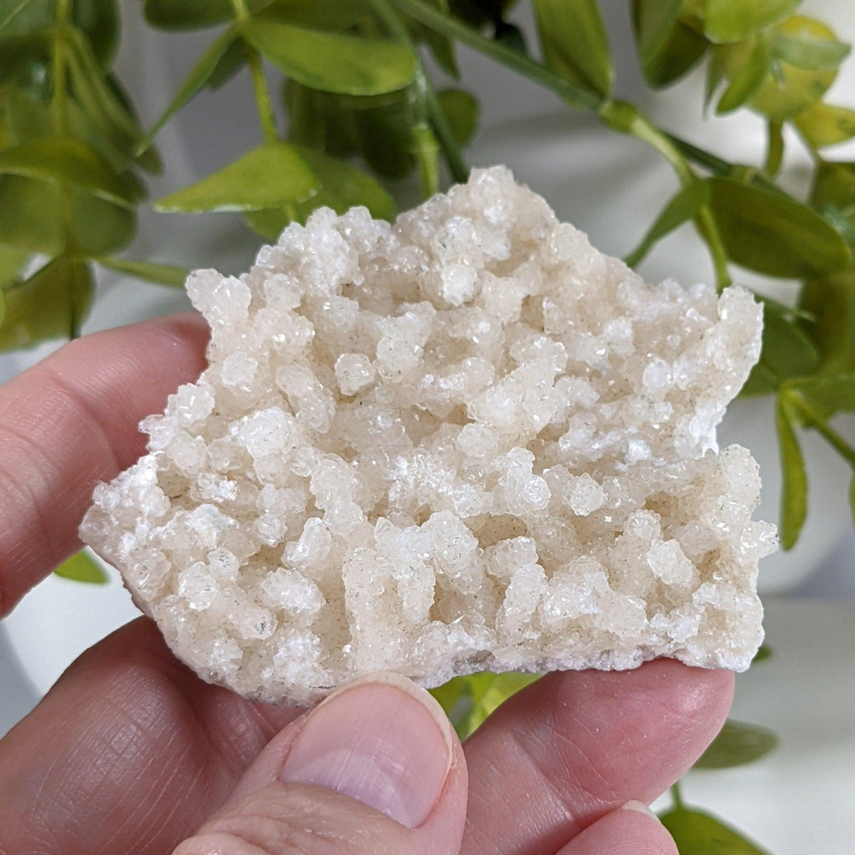  Prehnite Crystal Cluster | 67 grams | Mumbai, India 3