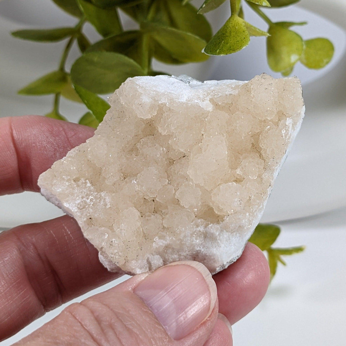  Prehnite Crystal Cluster | 67 grams | Mumbia, India 4