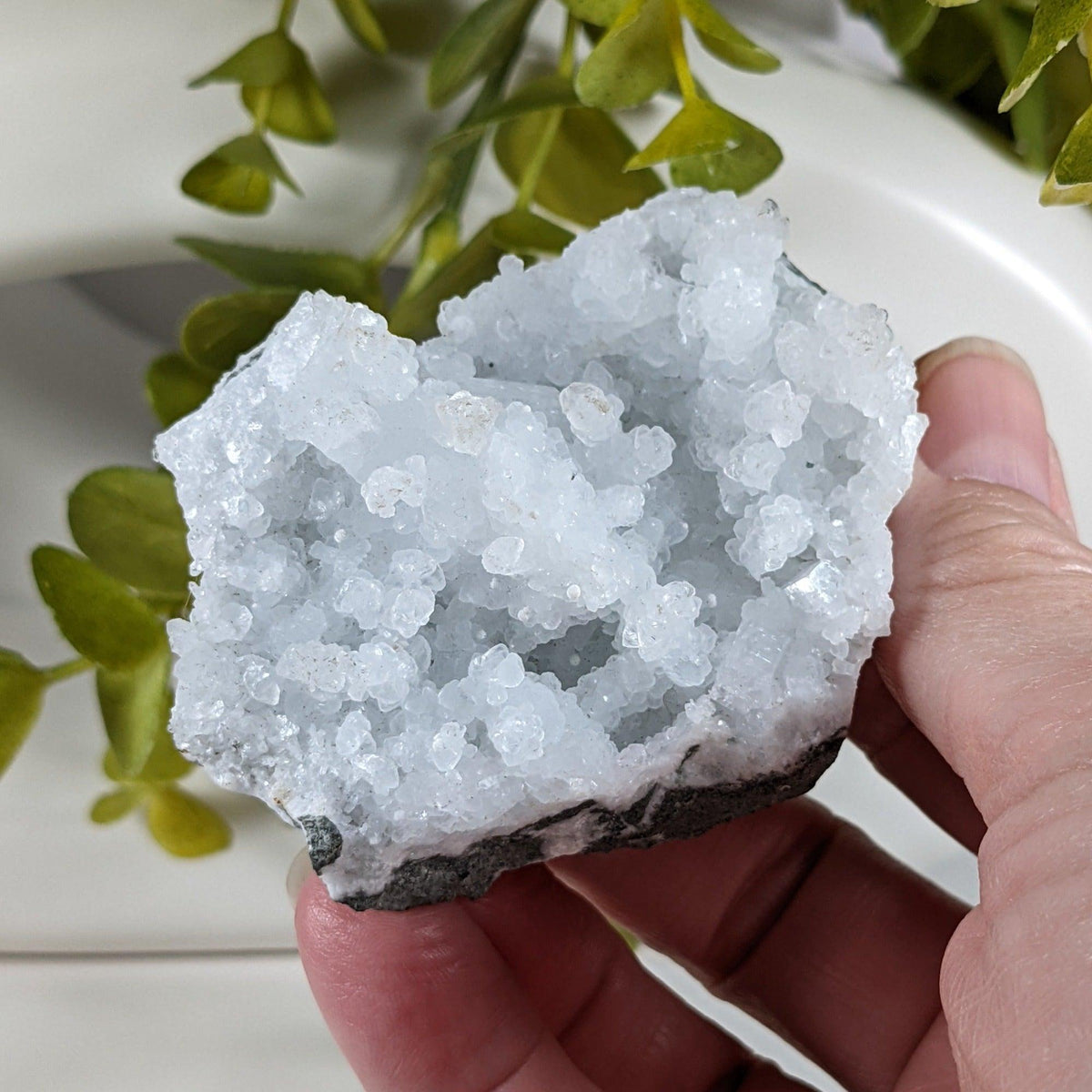  Prehnite and Apophyllite Crystal Cluster | 145 gr | Mumbai, India 3