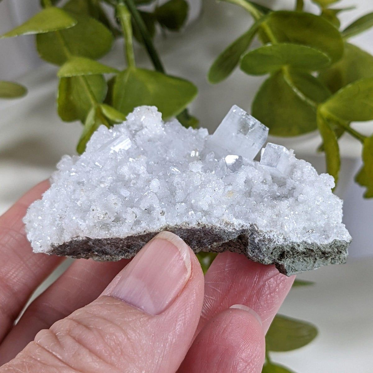  Prehnite and Apophyllite Crystal Cluster | 66 grams | Mumbai, India 6